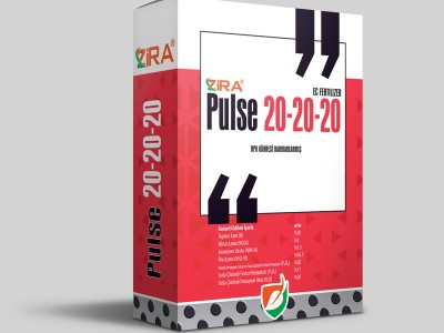 Zira Pulse 20-20-20