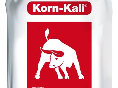 Korn-Kali 40%K2O 6%MgO 12.5%SO3 гранульований хлорид калію з магнієм|АГРОНПКТРЕЙД