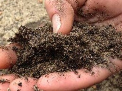 Анализ почвы